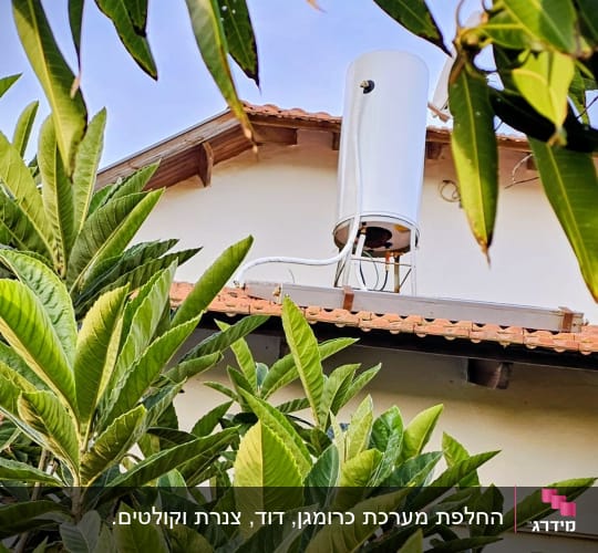דוד שמש מותקן על גג בית עם עלים ירוקים מסביב